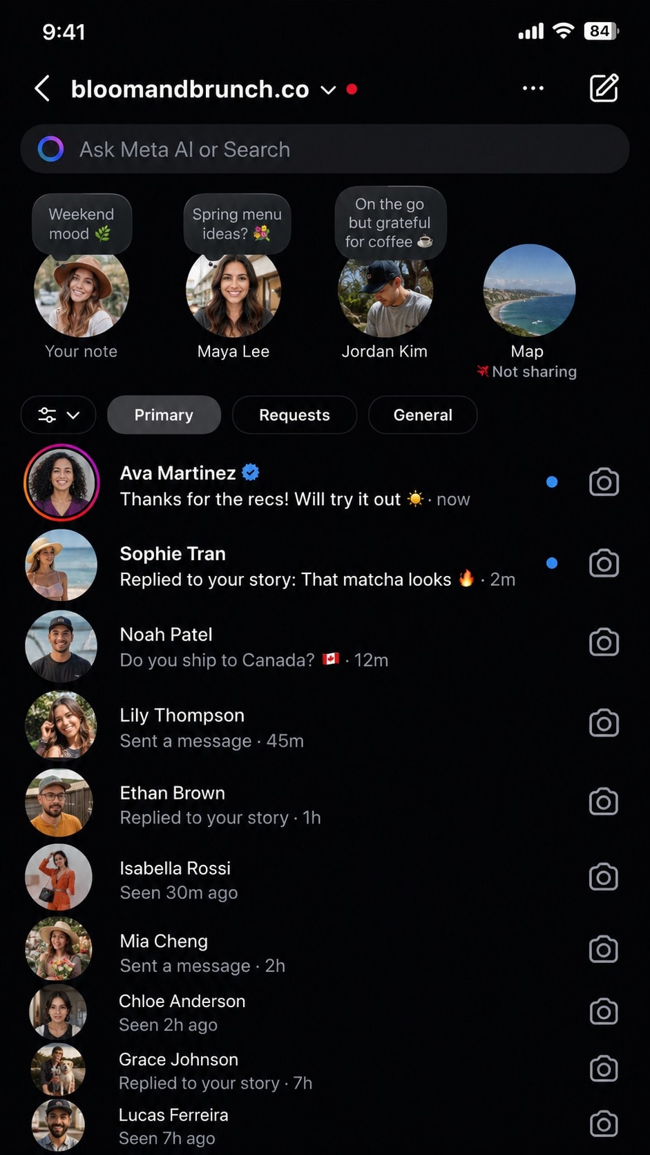 Instagram DM inbox showing active customer conversations